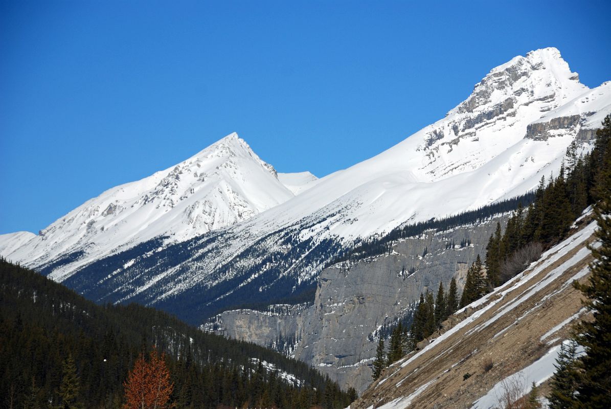 12 Cirrus Mountain From Icefields Parkway